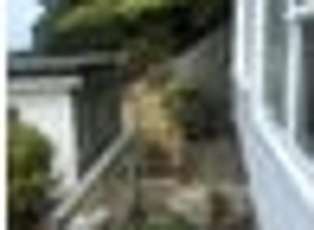 Hataitai, 2 bedrooms, $500 pw