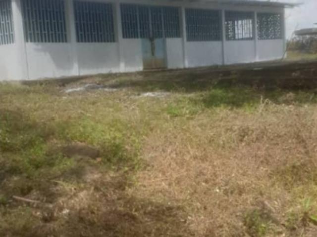 HATO BAYONA EN EL MUN. MONAGAS ANZOATEGUI VE02 2198MO RFLO