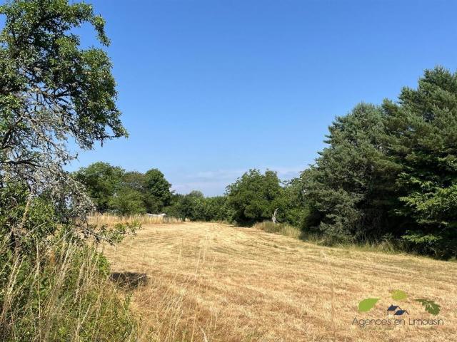 HAUTE VIENNE