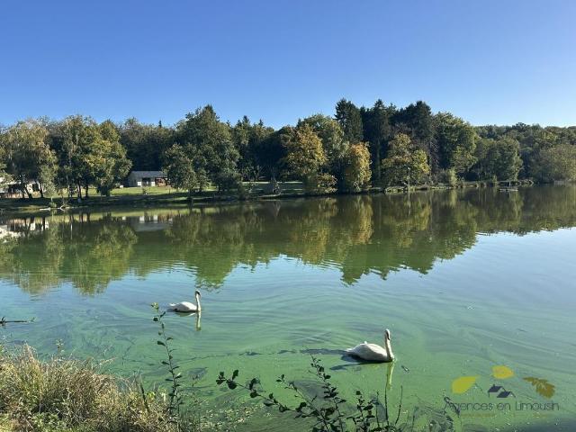 HAUTE VIENNE