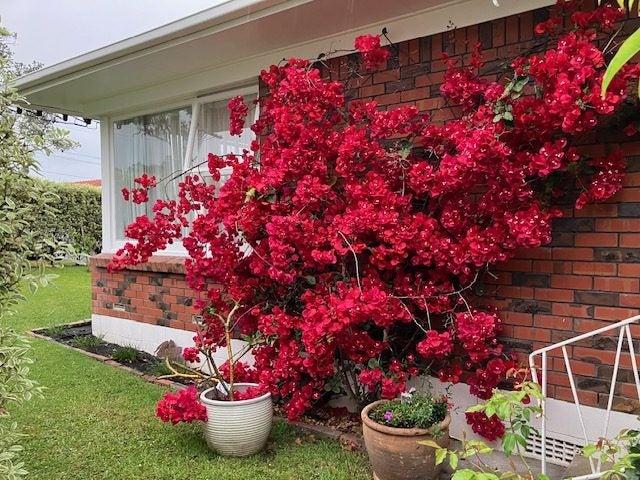 hauraki, 2 bedrooms