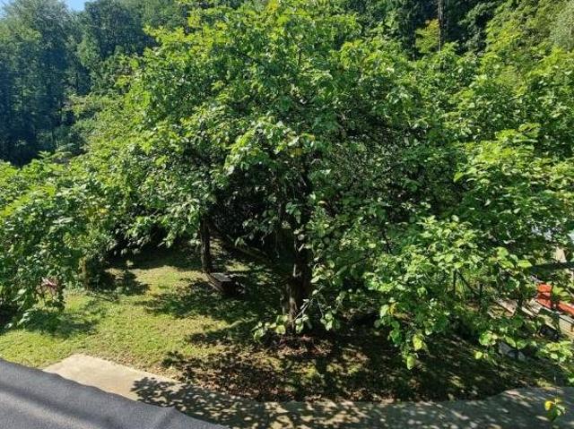 Haus mit 8 Schlafzimmer Oberösterreich 4040 DS96158185