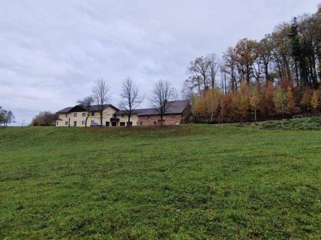 Zweifamilien Haus mit 1,7 ha landwirtschaftlicher Nutzfläche und Quellwasser