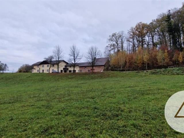 Zweifamilien Haus mit 1,7 ha landwirtschaftlicher Nutzfläche und Quellwasser