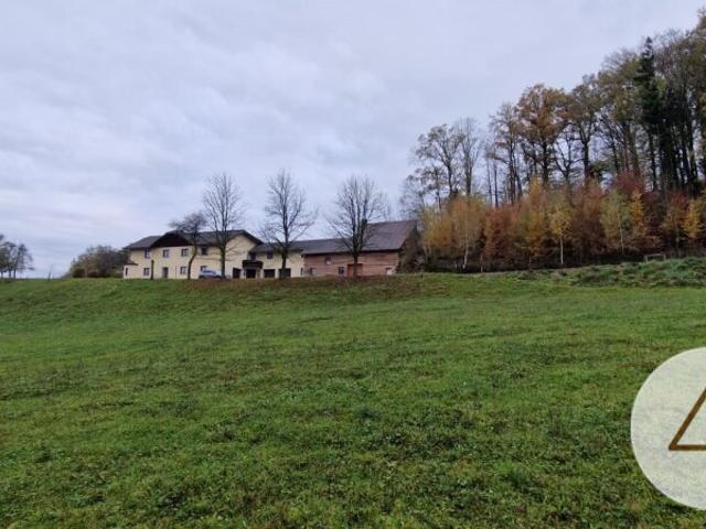 Zweifamilien Haus mit 1,7 ha landwirtschaftlicher Nutzfläche und Quellwasser