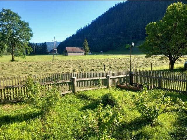 Haus mit 2 Schlafzimmer Möderbrugg 8763 DLS96745904