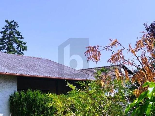 Haus mit 3 Schlafzimmer Niederösterreich 2601 DS101254368