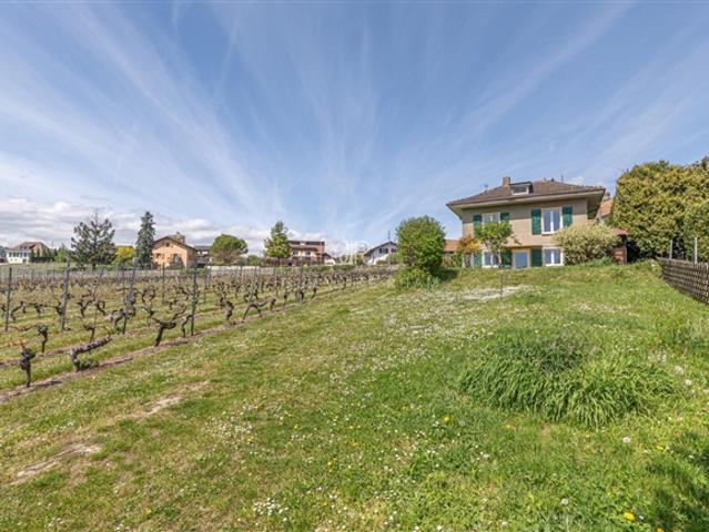 Haus mit Charme in den Weinbergen