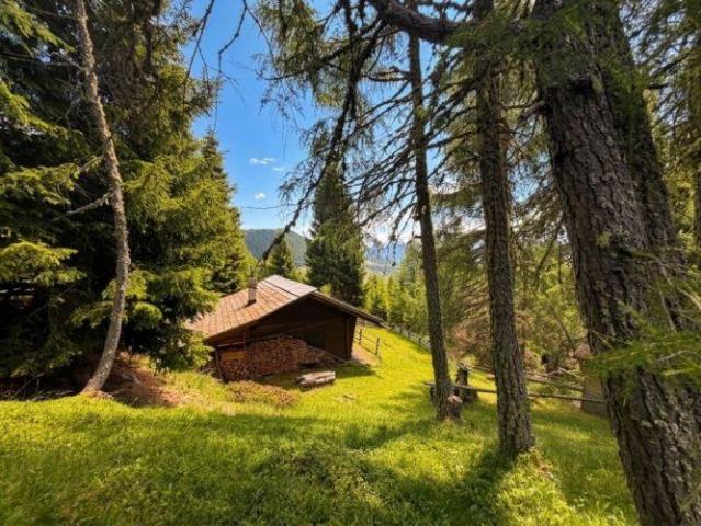 Haus Anras Anras 104917019