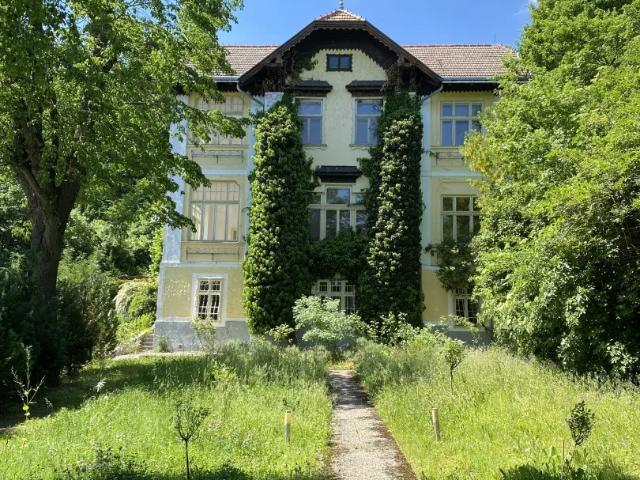 Haus Hinterbrühl Hinterbrühl 103117398