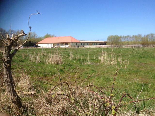 Haus, Hof, Ostsee nahe Werft Wismar: 4 Wohnungen + Pferdestall