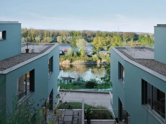 Haus Höflein An Der Donau Höflein An Der Donau 103164334