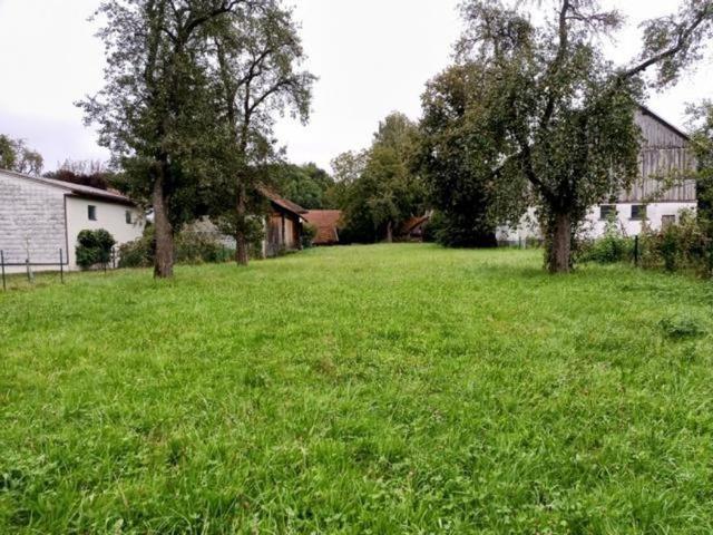 Haus Immobilie Zell an der Pram GLS101617216