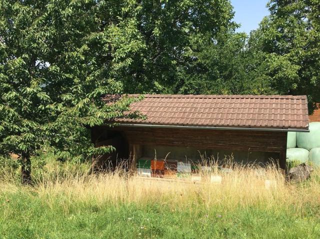 Haus Immobilie Gupf GS98916549