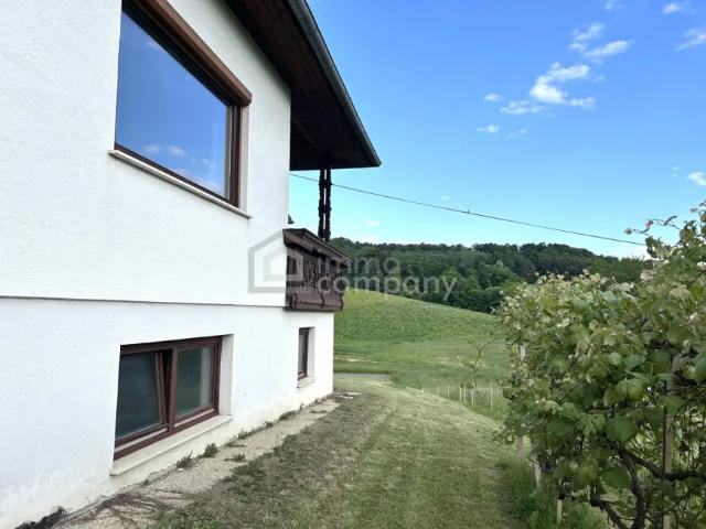 Haus Immobilie Neustift bei Güssing GS102023234