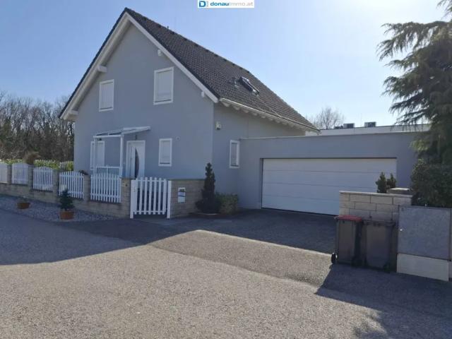 Zu Verkaufen Haus Sollenau Sollenau DS102013768