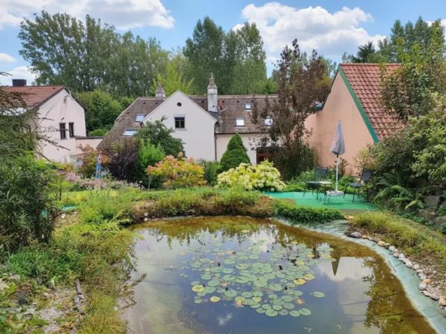 Haus Ulrichskirchen Ulrichskirchen 103169872