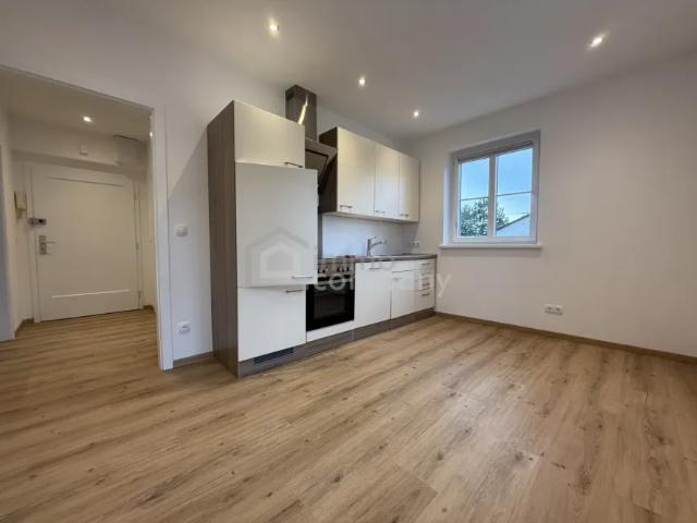 Haus Wiener Neustadt Wiener Neustadt 103428111