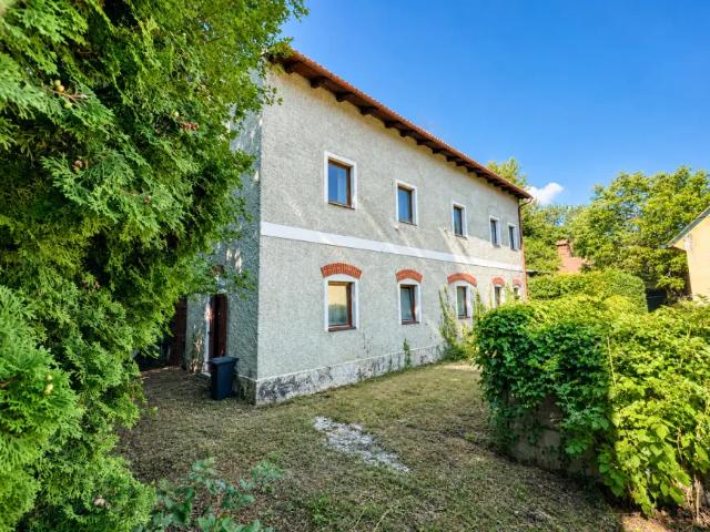 Haus Wöllersdorf Steinabrückl Niederösterreich 104474378