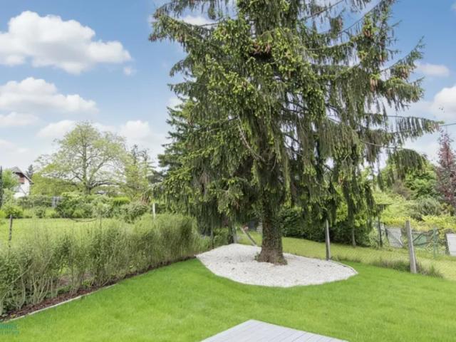 Haus Zu Vermieten Wien Wien 4400 ES104140424