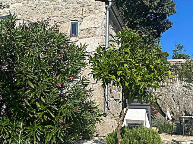Haus Zu Verkaufen Bajčići Bajčići 1 ES103117515