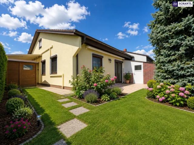 Haus Zu Verkaufen Münchendorf Münchendorf 749000 ES103962978