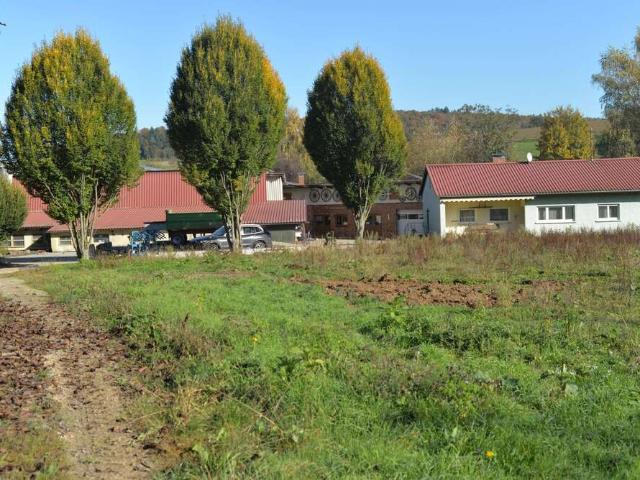 Haus zum Kaufen in Bad Rappenau 580.000,00 EUR 110 m²
