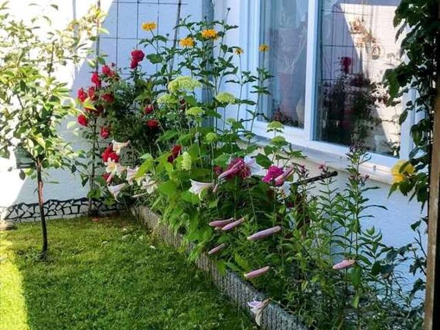 Haus zum Kaufen in Bingen 255.000,00 EUR 84.2 m²