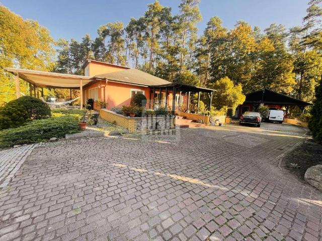 Haus zum Kaufen in Briesen 589.000,00 EUR 149.85 m²