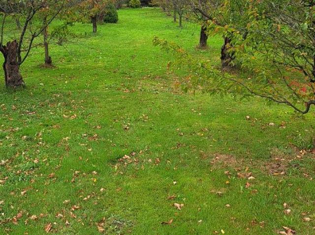 Haus zum Kaufen in Buxtehude 485.000,00 EUR 150 m²