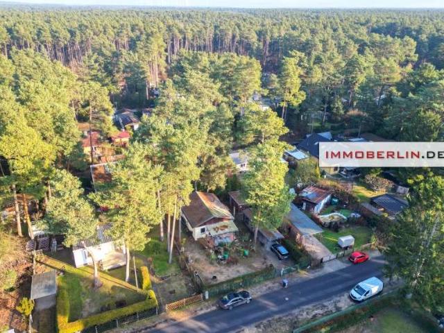 Haus zum Kaufen in Grünheide 349.000,00 EUR 74 m²