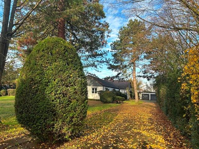Haus zum Kaufen in Frankenthal 1.200.000,00 EUR 241.1 m²