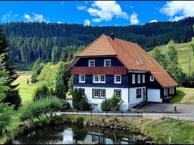 Haus zum Kaufen in Schluchsee 949.000,00 EUR 320 m²