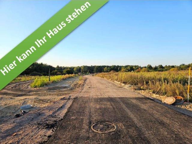 Haus zum Kaufen in Schneverdingen 370.480,00 EUR 109 m²