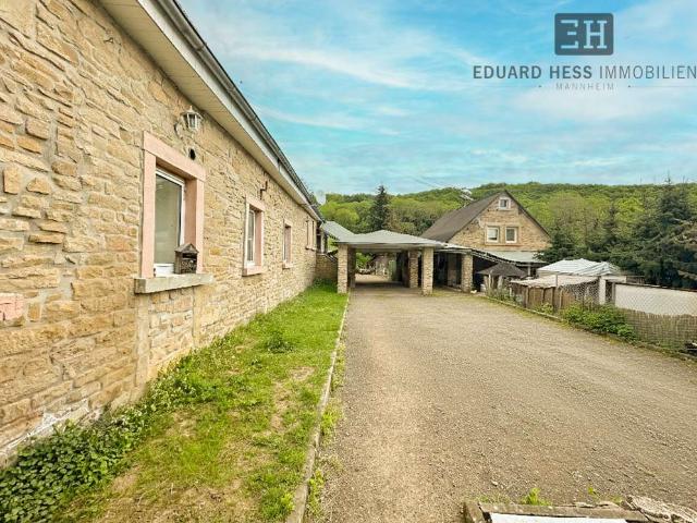 Haus zum Kaufen in Rockenhausen 450.000,00 EUR 522 m²