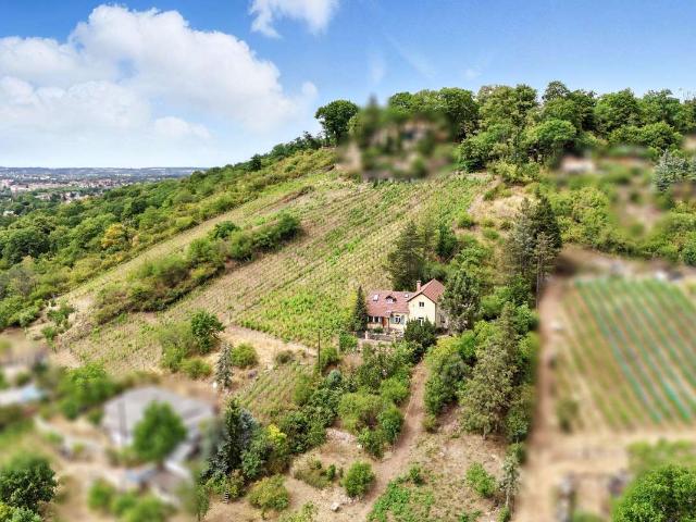 Haus zum Kaufen in Radebeul 495.000,00 EUR 140 m²