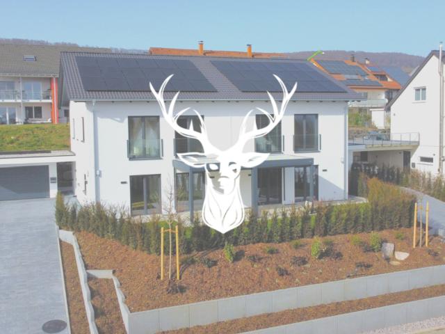 Haus zum Kaufen in Waldshut Tiengen 899.000,00 EUR 151 m²