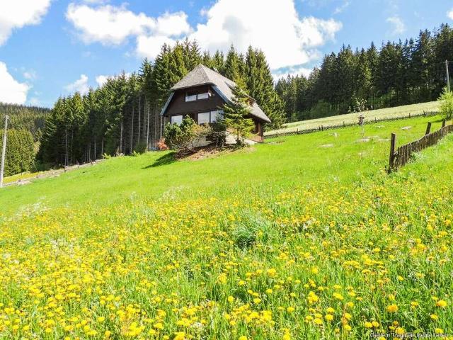 Haus zum Kaufen in Titisee Neustadt 749.000,00 EUR 101 m²