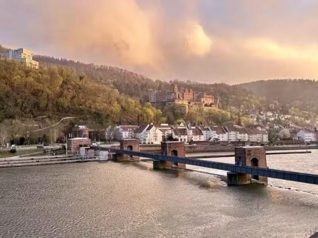 Haus 5000 € zur Miete Neuenheim Ost, Heidelberg 69120