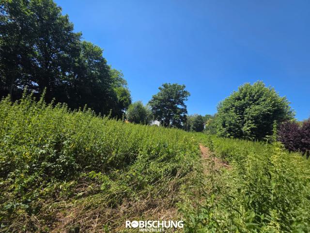 HAUSGAUEN: Terrain de 11 ares 94