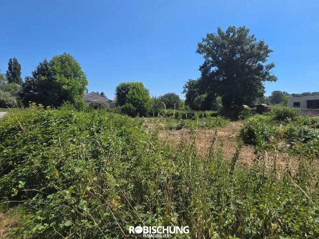 HAUSGAUEN: Terrain de 11 ares 94