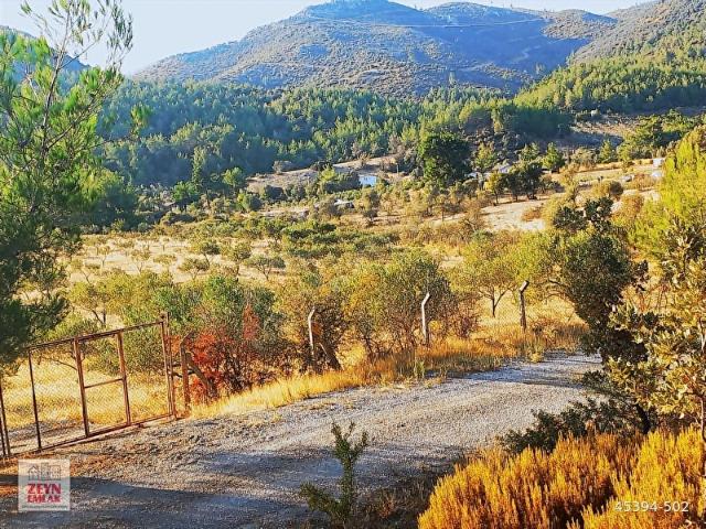 HAVAALANI PLAJ İZBAN 22km YOLCEPHE250m 40Dönüm TARLA ZEYTİNLİK