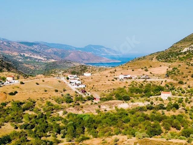 HAVADAR KÖYE HAKİM KONUMDA TARLA