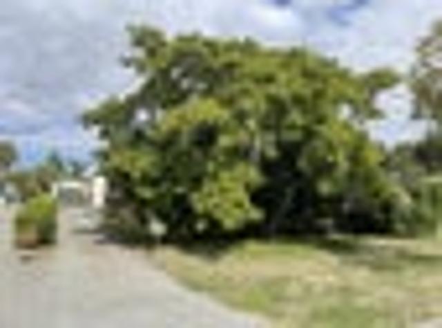 Havelock North, 3 bedrooms, $600 pw