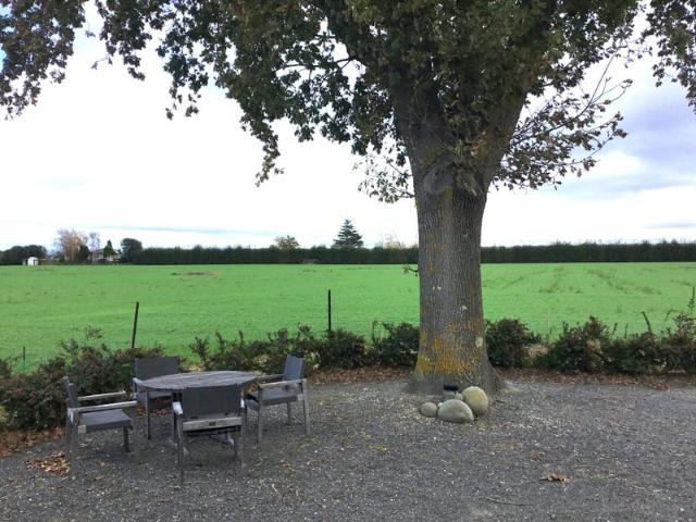 havelock north, studio
