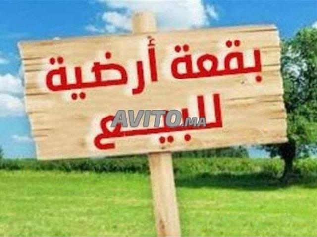 Hay Al Amal près de l'Institut de Pêche Maritime Tantane El Ouatia