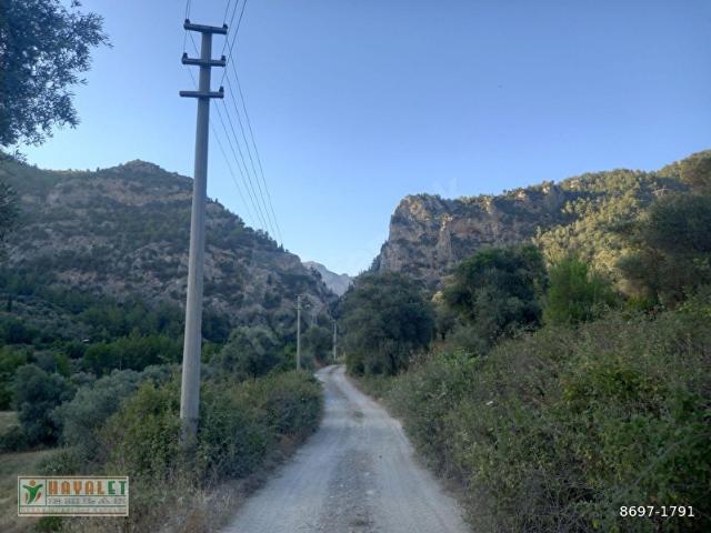 HAYALETTEN DAĞPINARDA İÇİNDE EVİ OLAN TARLA VE ZEYTİNLİK