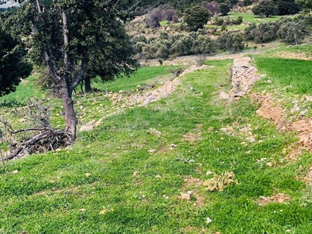HAYALETTEN DAĞPINARDA YATIRIMLIK MANZARALI TARLA