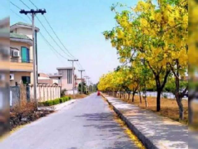 Hayatabad Peshawar, plots for sale Peshawar ID 03242