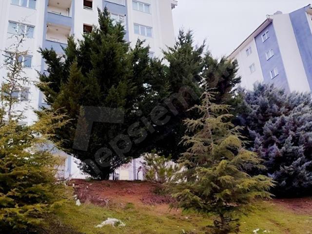 HAYMANADA SATILIK FIRSAT ARSA